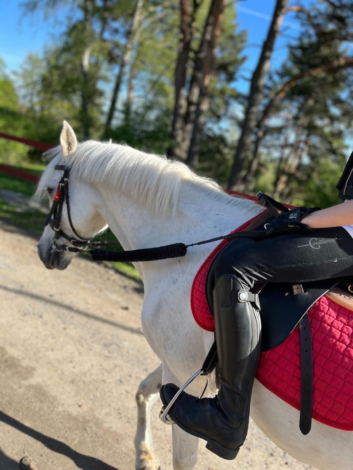 Rapaz Youngster Black