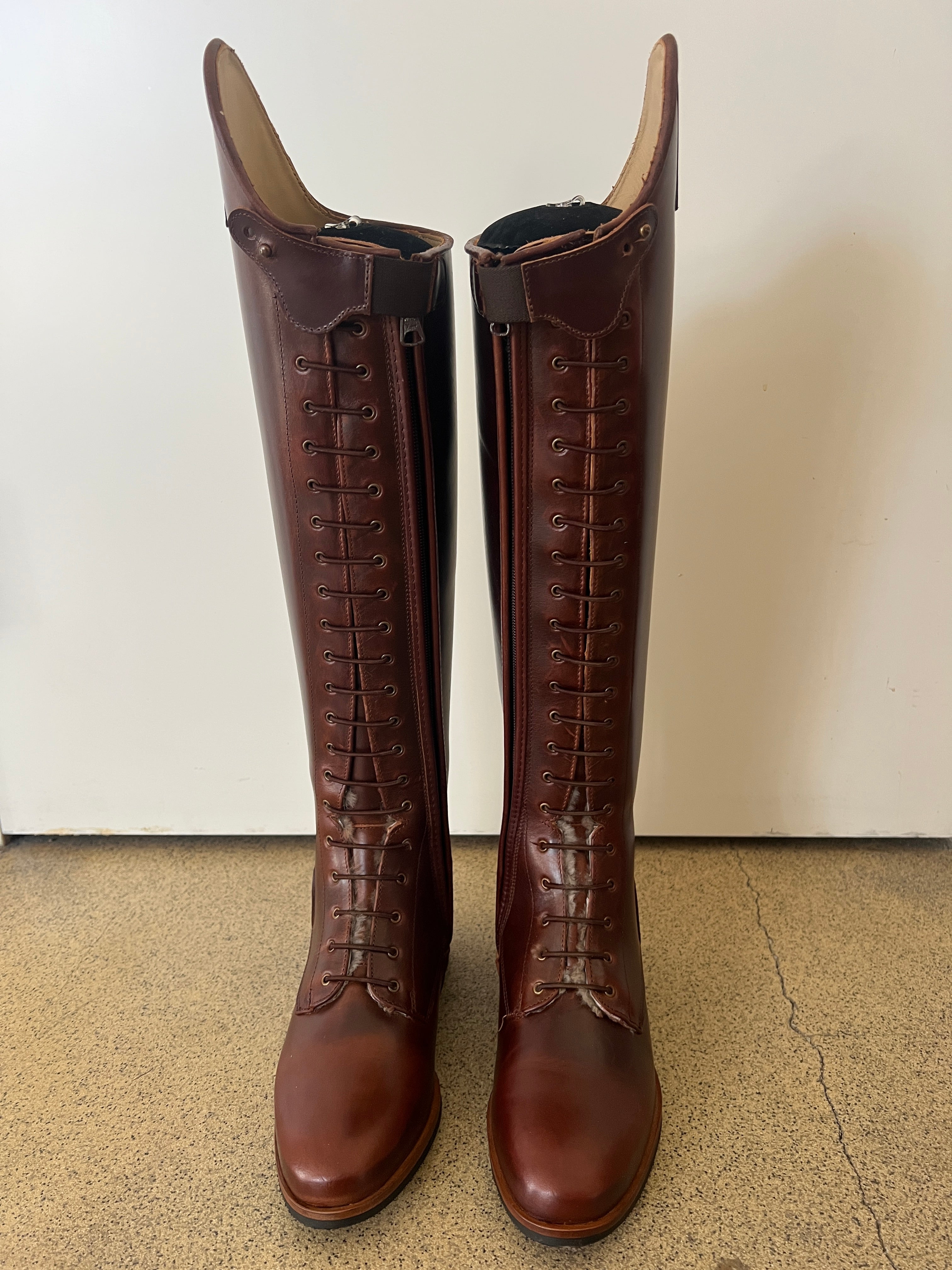 Paulista Seahorse Brown Size 39/39/45