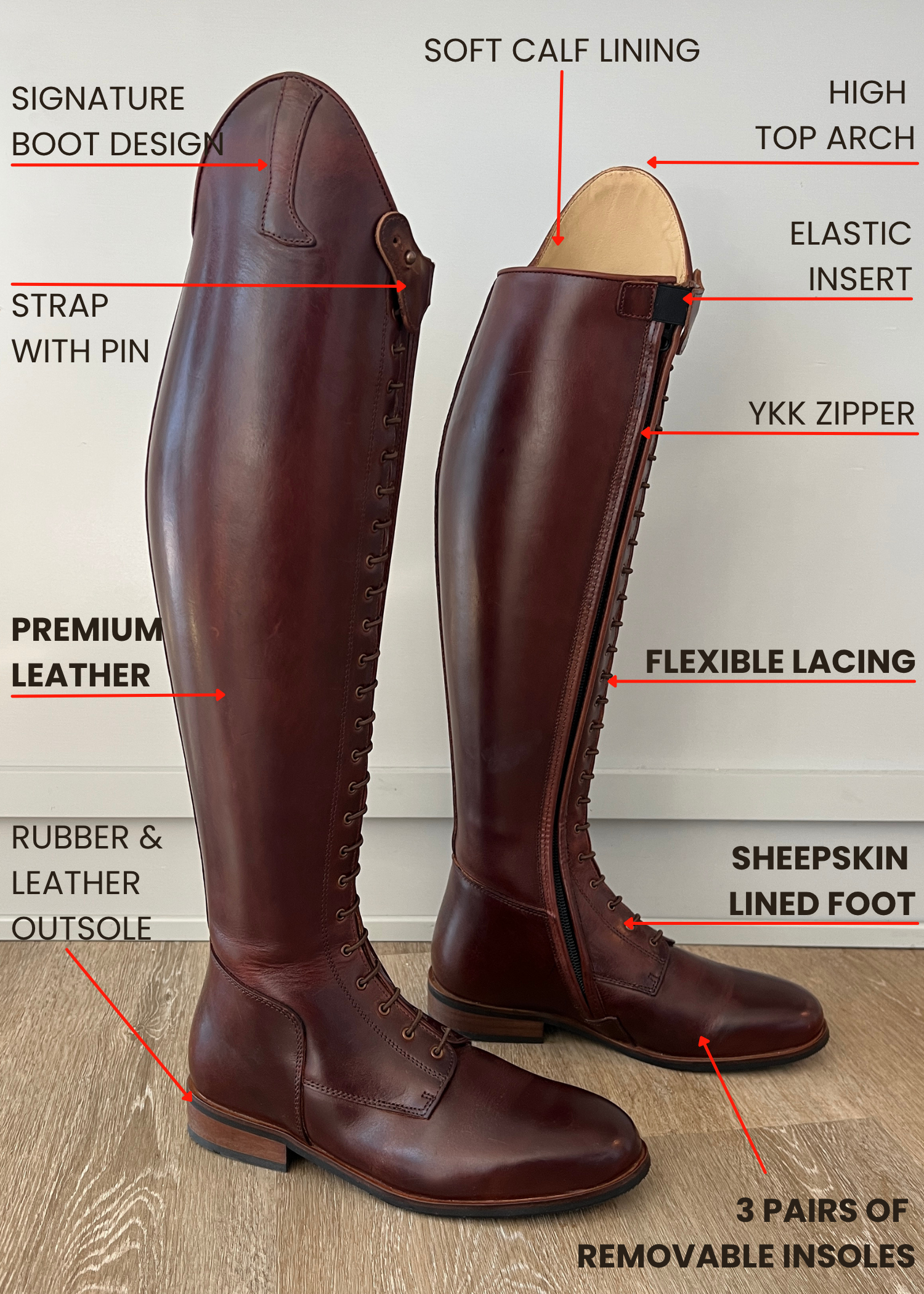 Paulista Seahorse Brown
