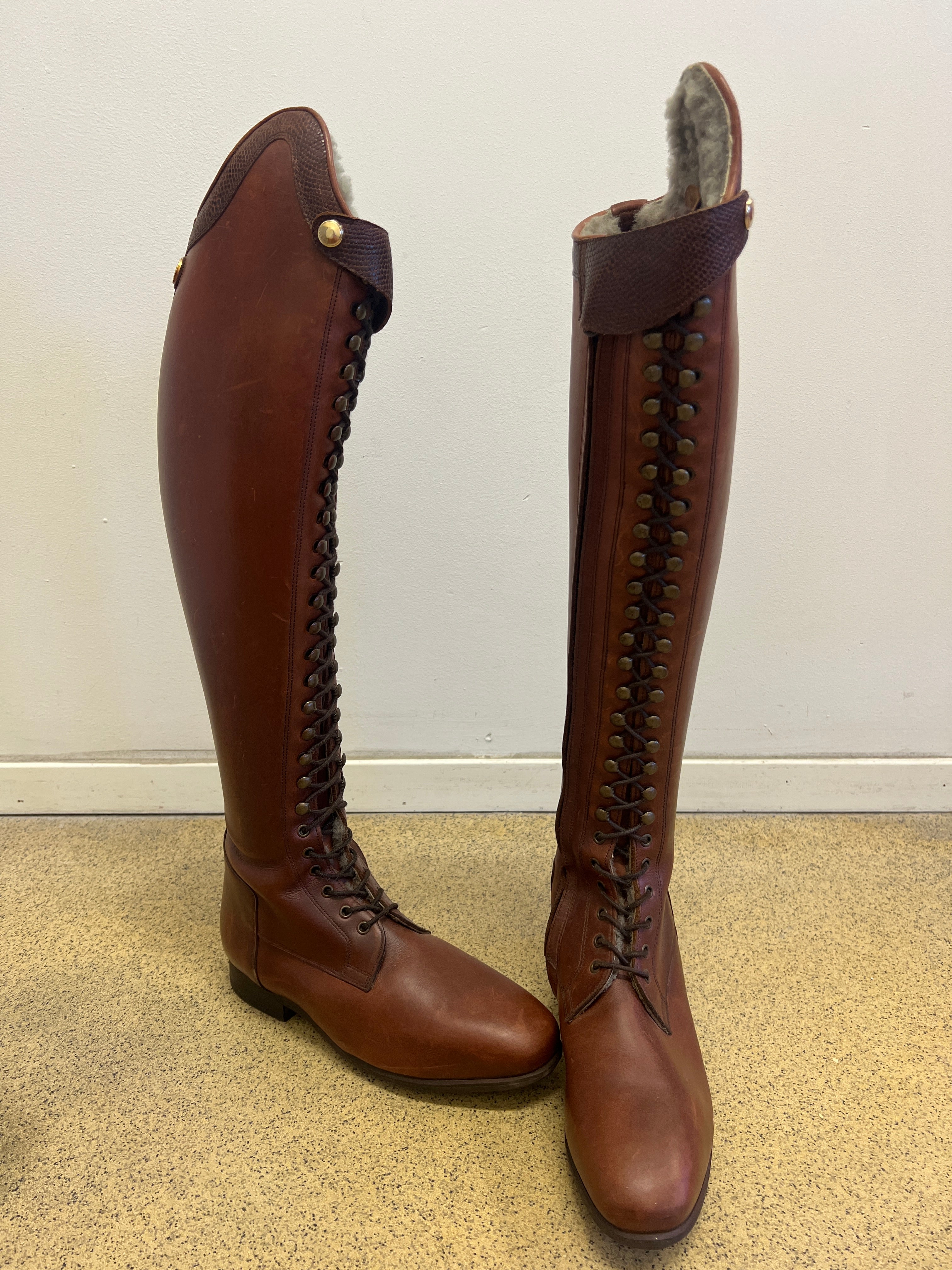 BIA DRESSAGE WINTER - Chestnut Brown/Embossed brown - Size 41/35-36/52