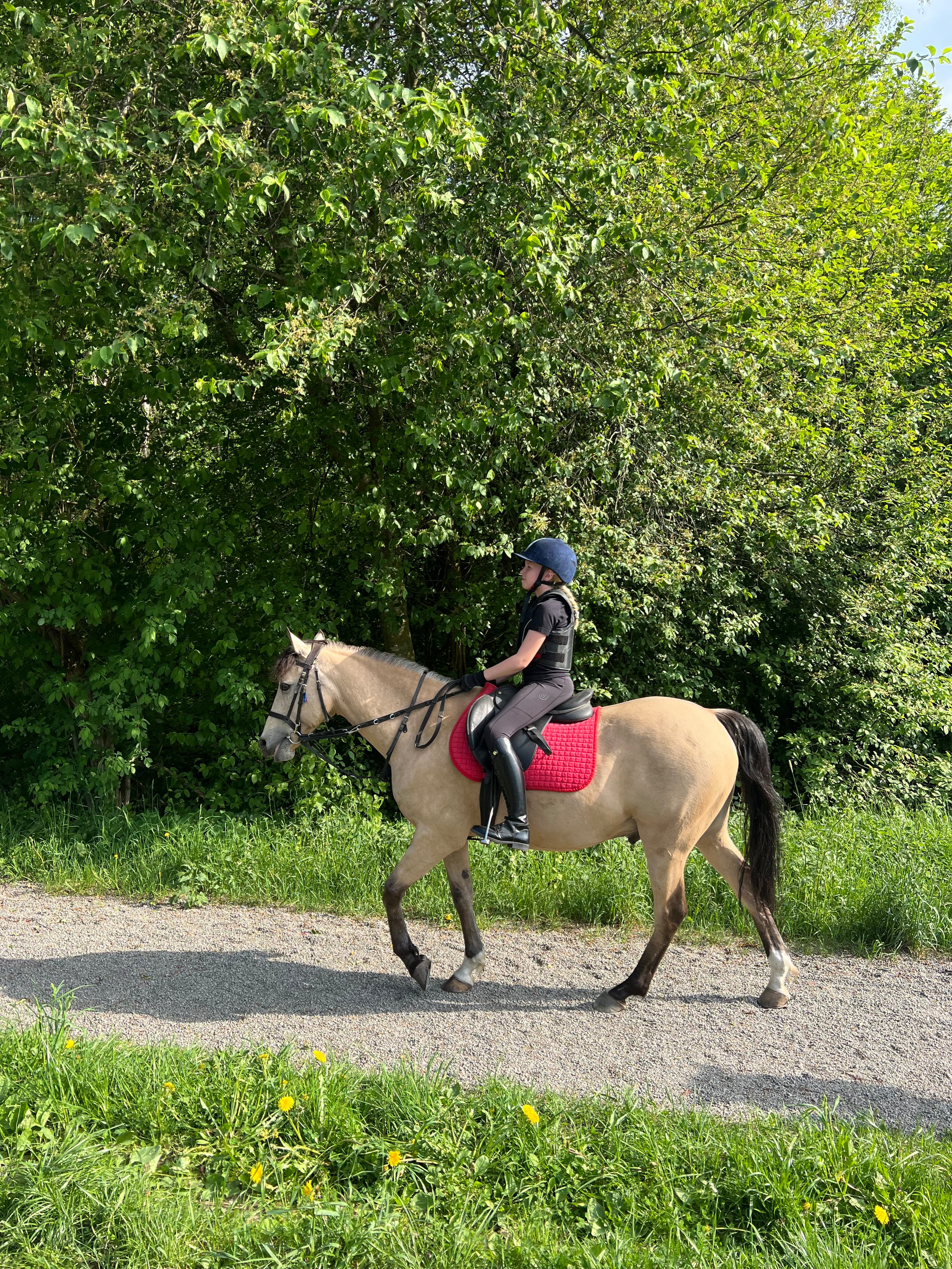 MENINA Youngster Polerad Svart