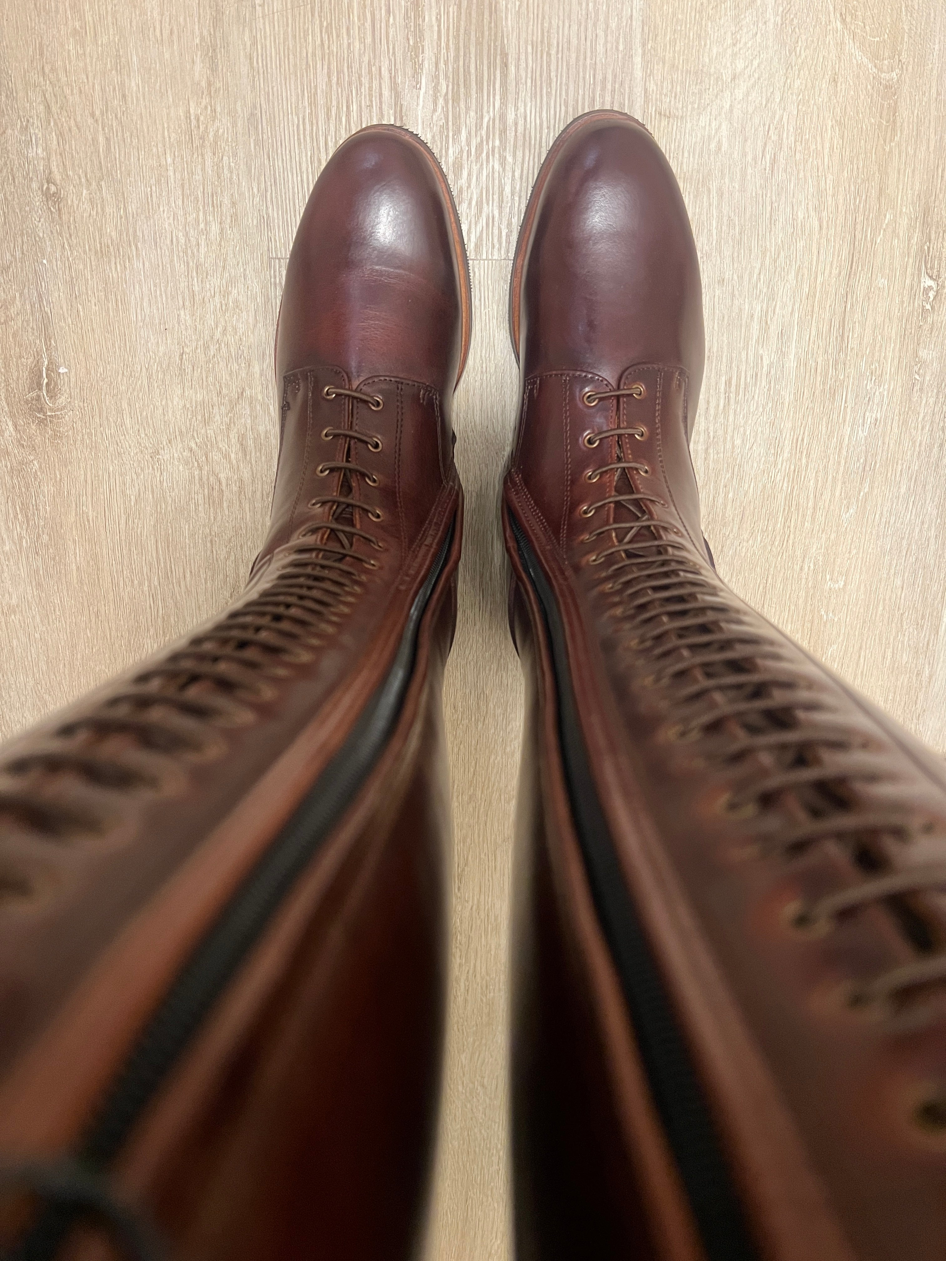 Paulista Seahorse Brown