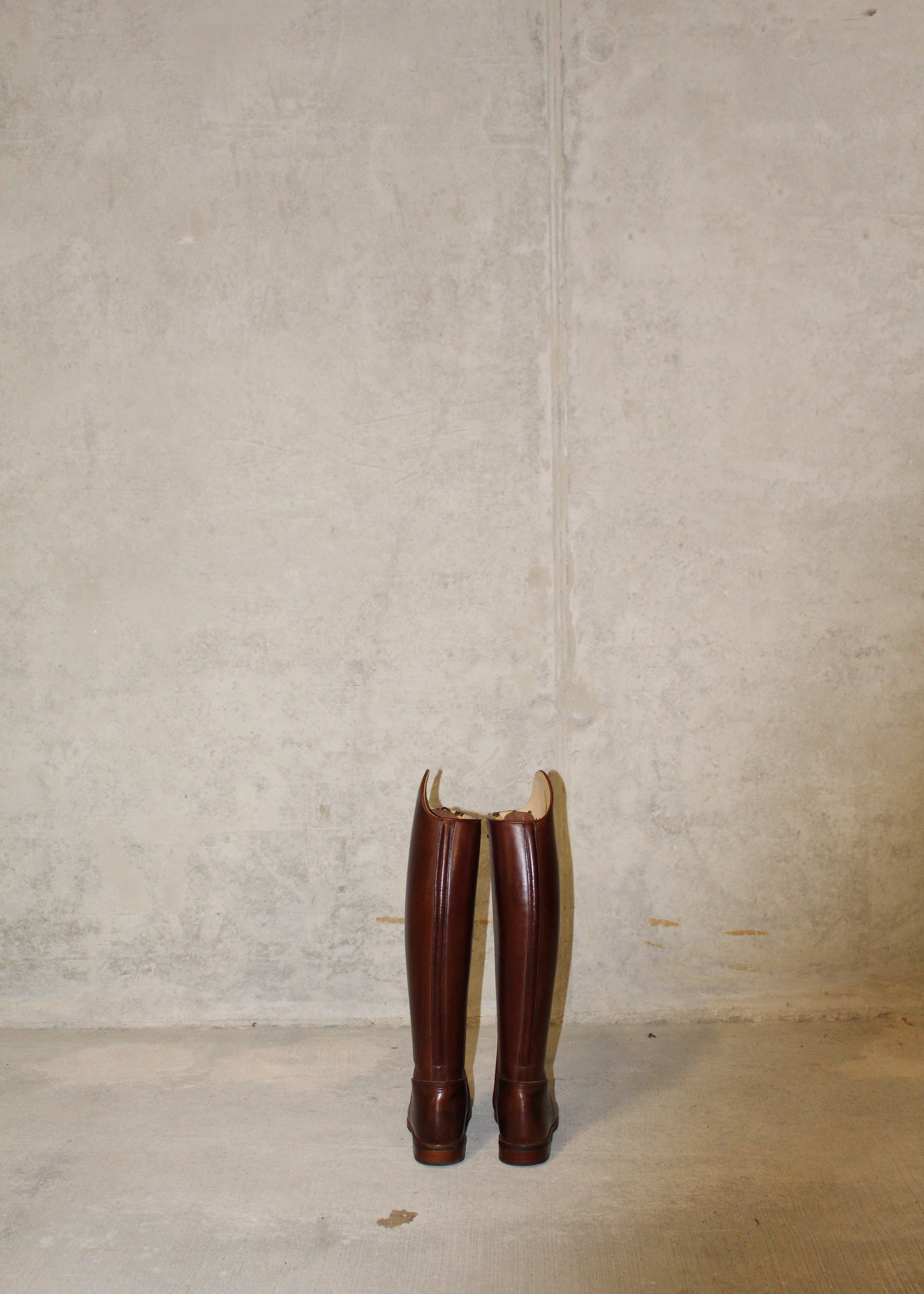 Paulista Seahorse Brown