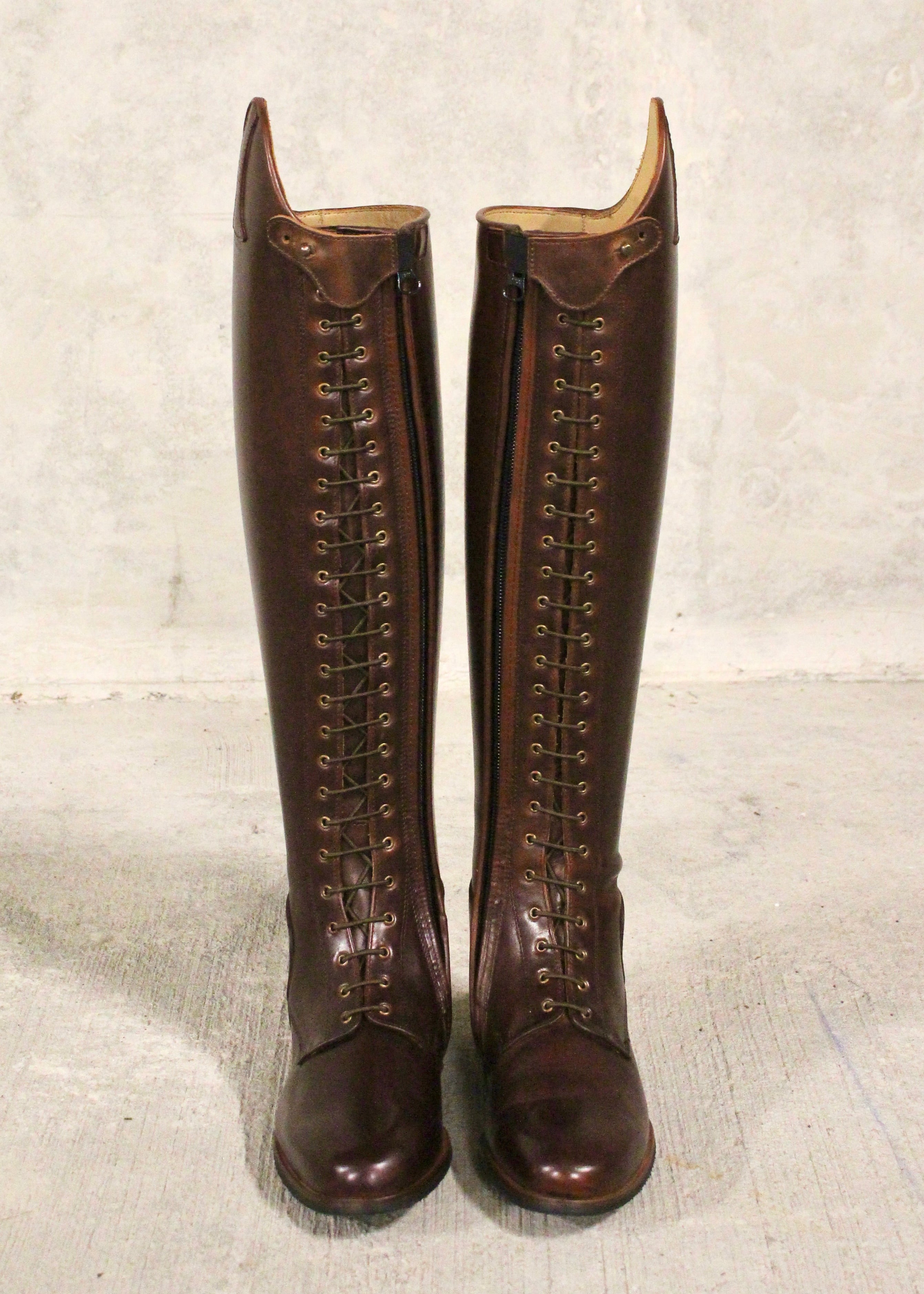 Paulista Seahorse Brown