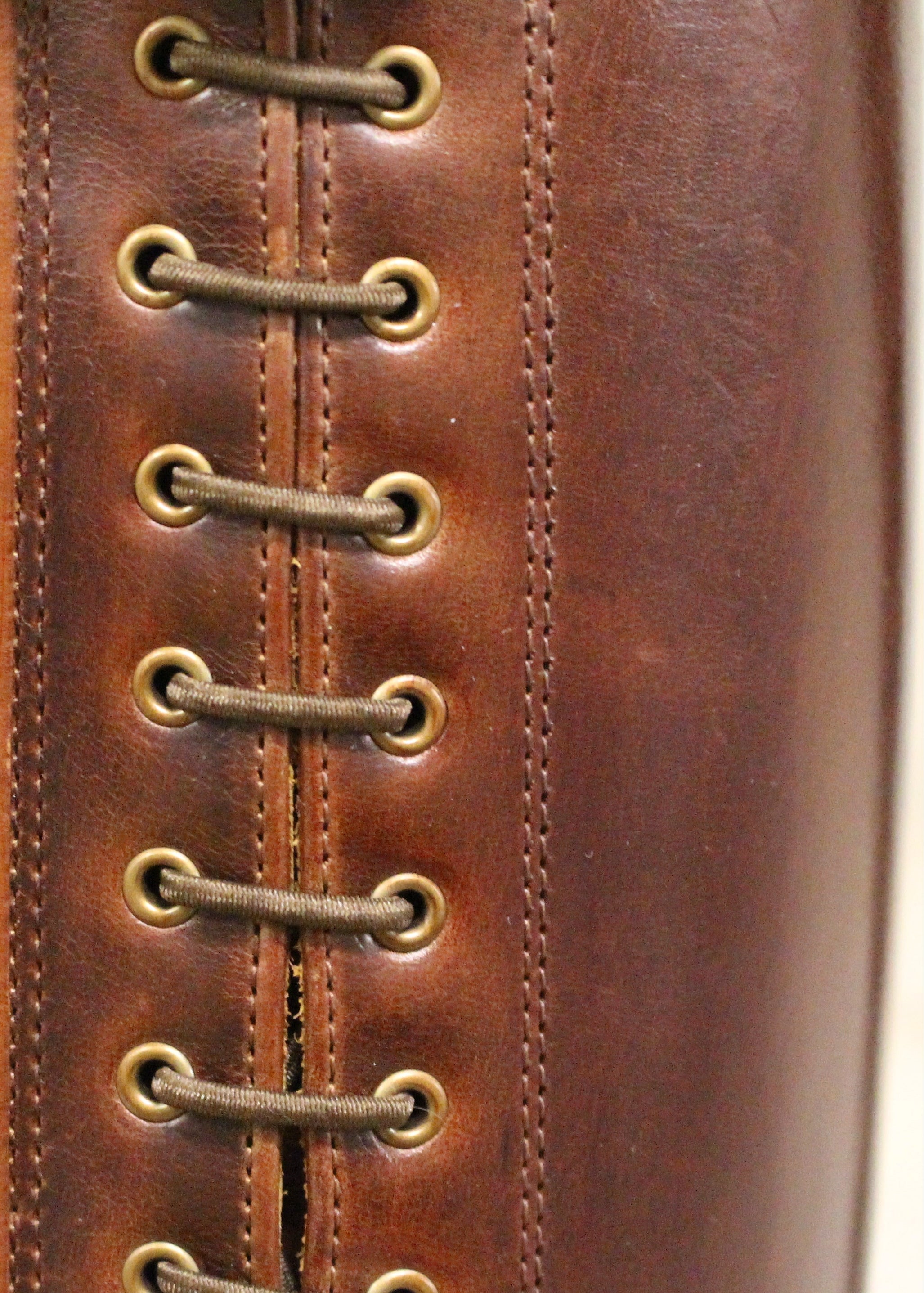 Paulista Seahorse Brown