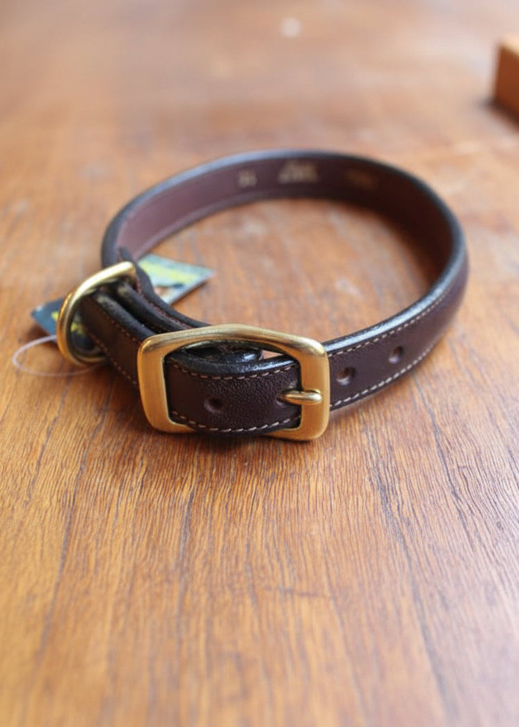 Dog Collar | Havanna
