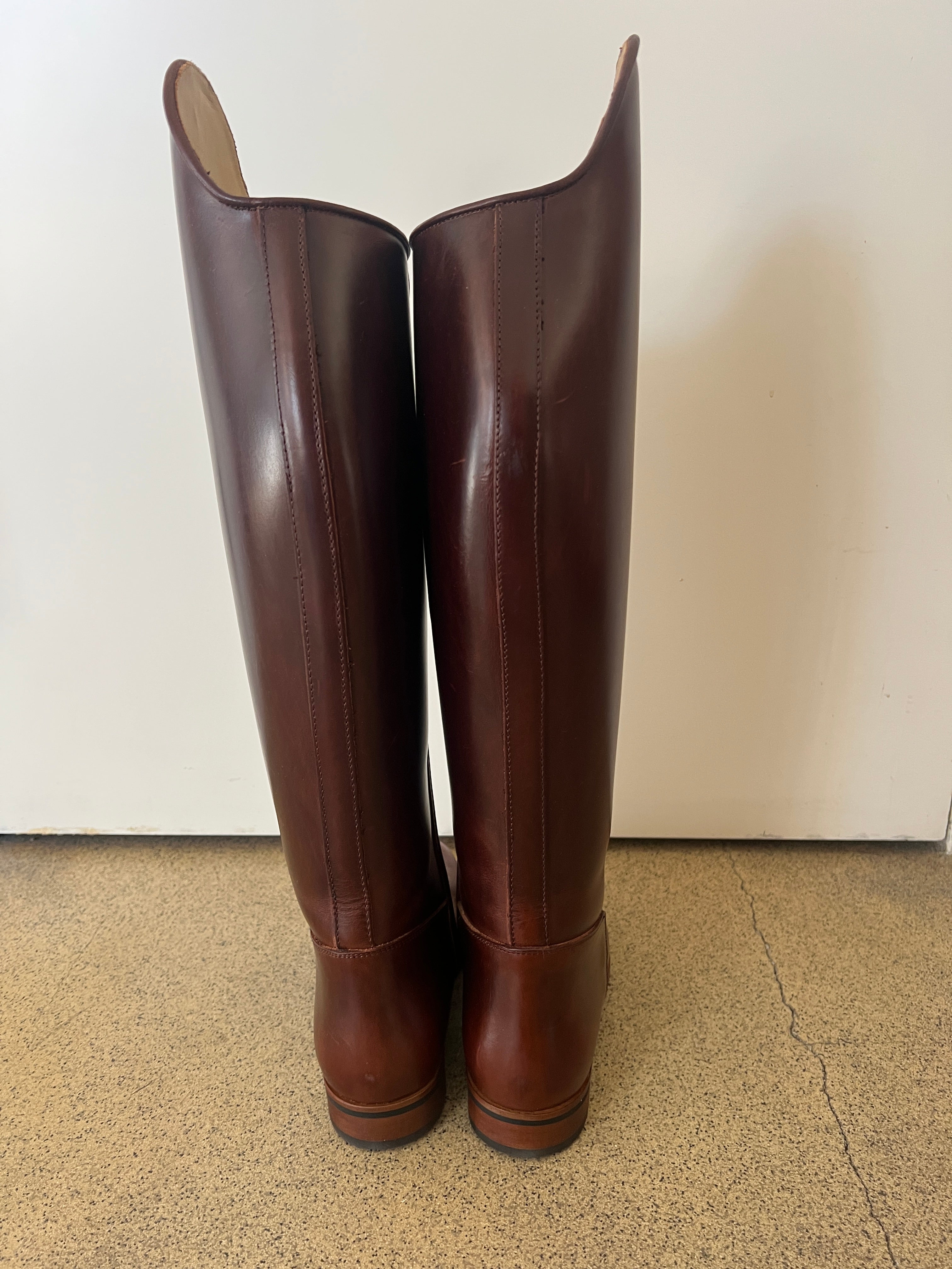 Paulista Seahorse Brown