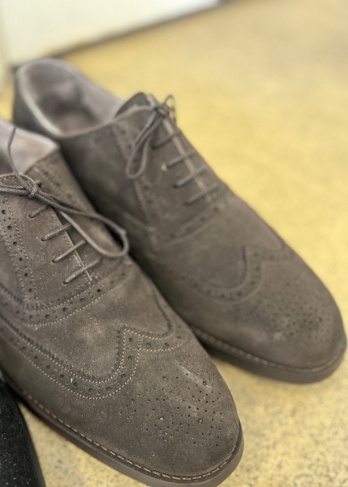 Campino | Svart glans, svart mocka, kaffemocka | Storlek 47-47,5