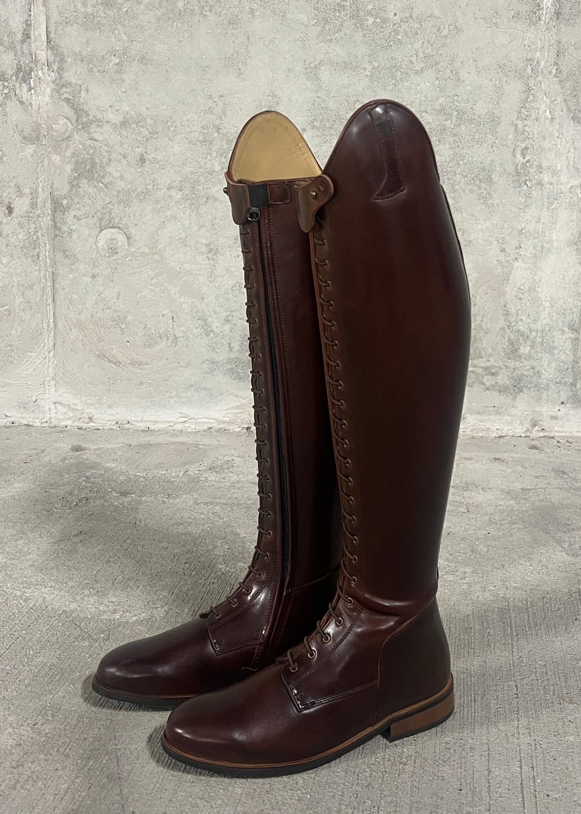 Paulista Seahorse Brown