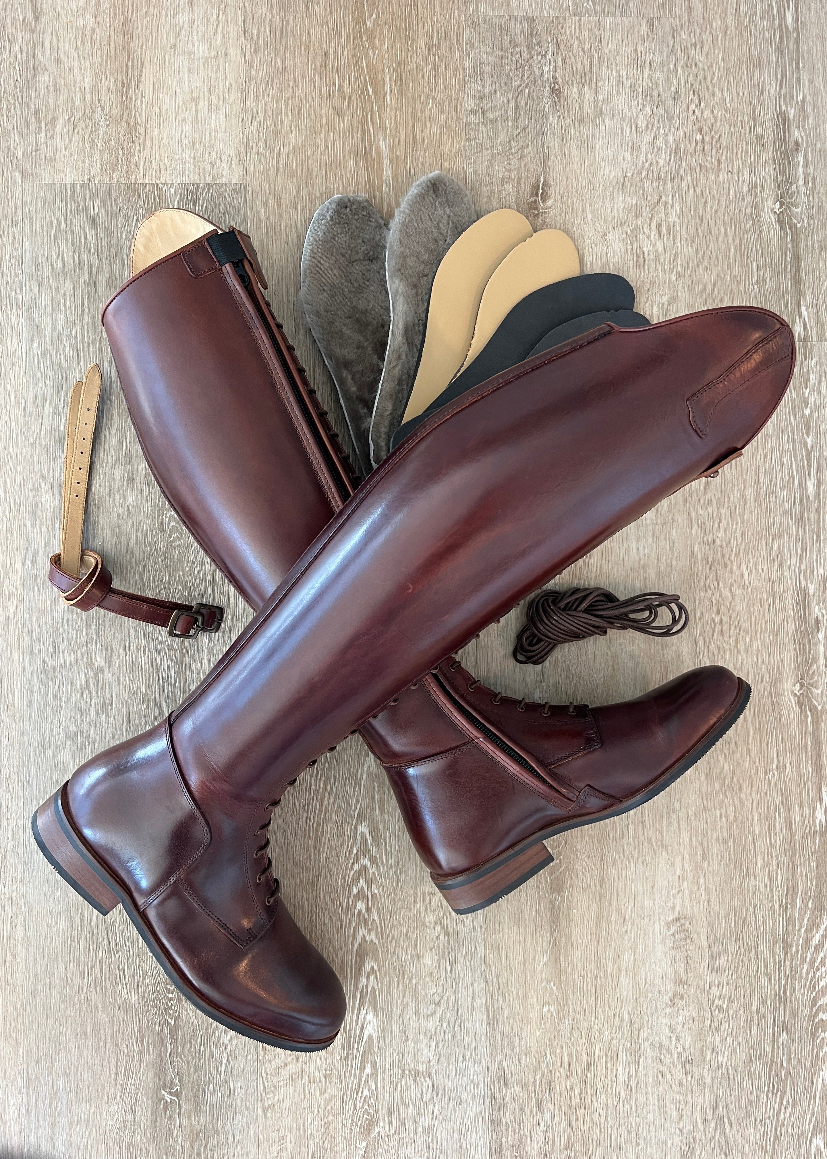 Paulista Seahorse Brown