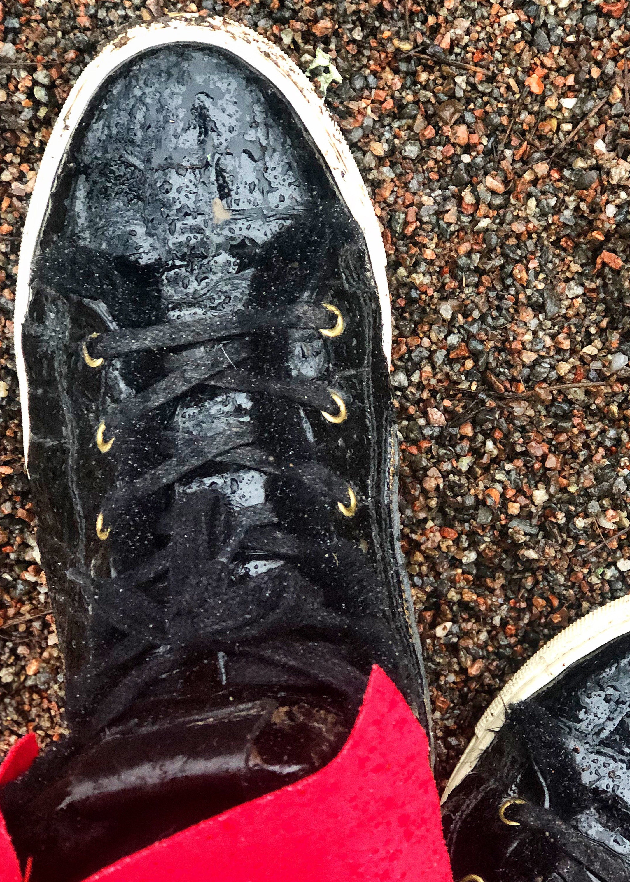 High Top Sneakers Fårskinnsfodrad Svart Crocolack