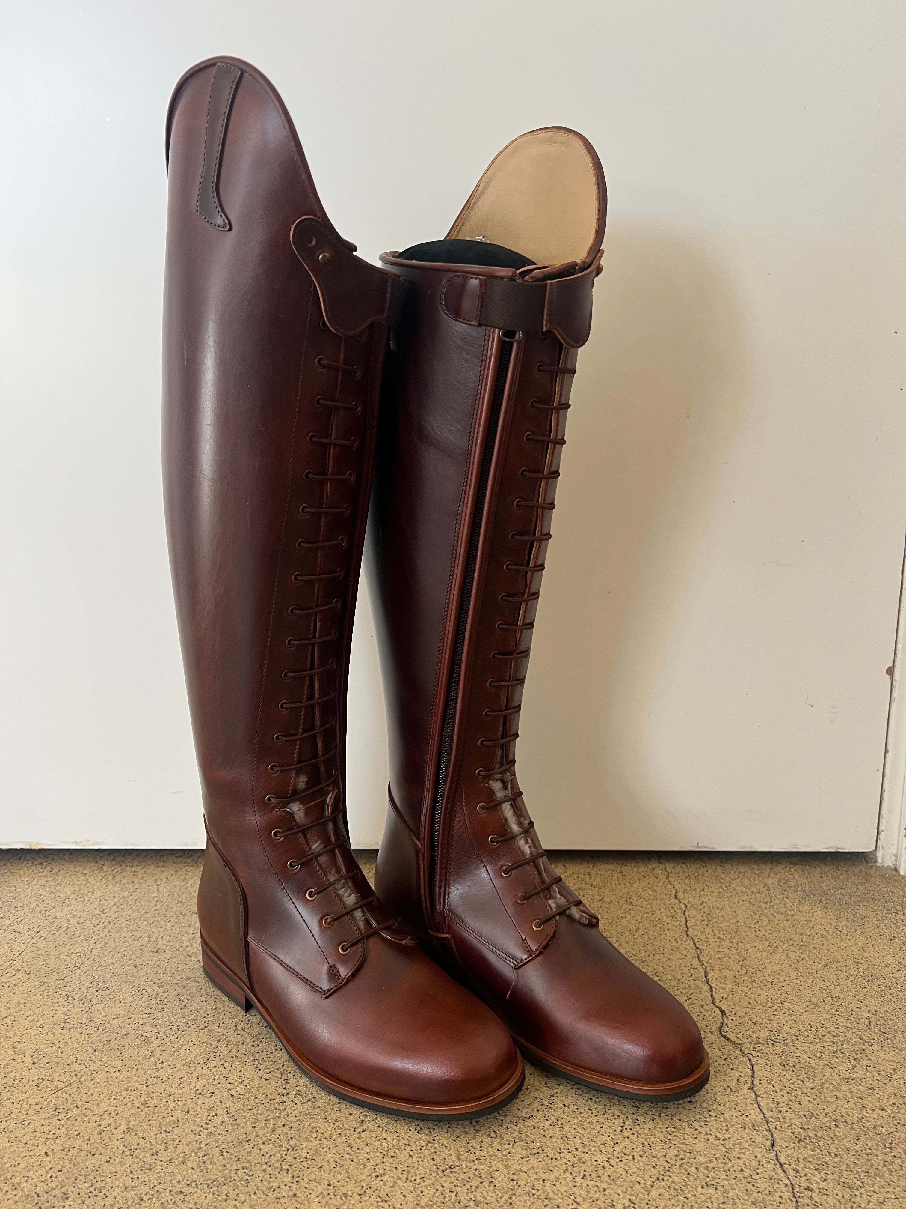 Paulista Seahorse Brown