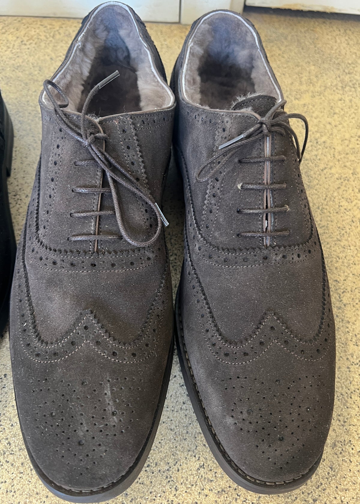 Campino | Svart glans, svart mocka, kaffemocka | Storlek 47-47,5