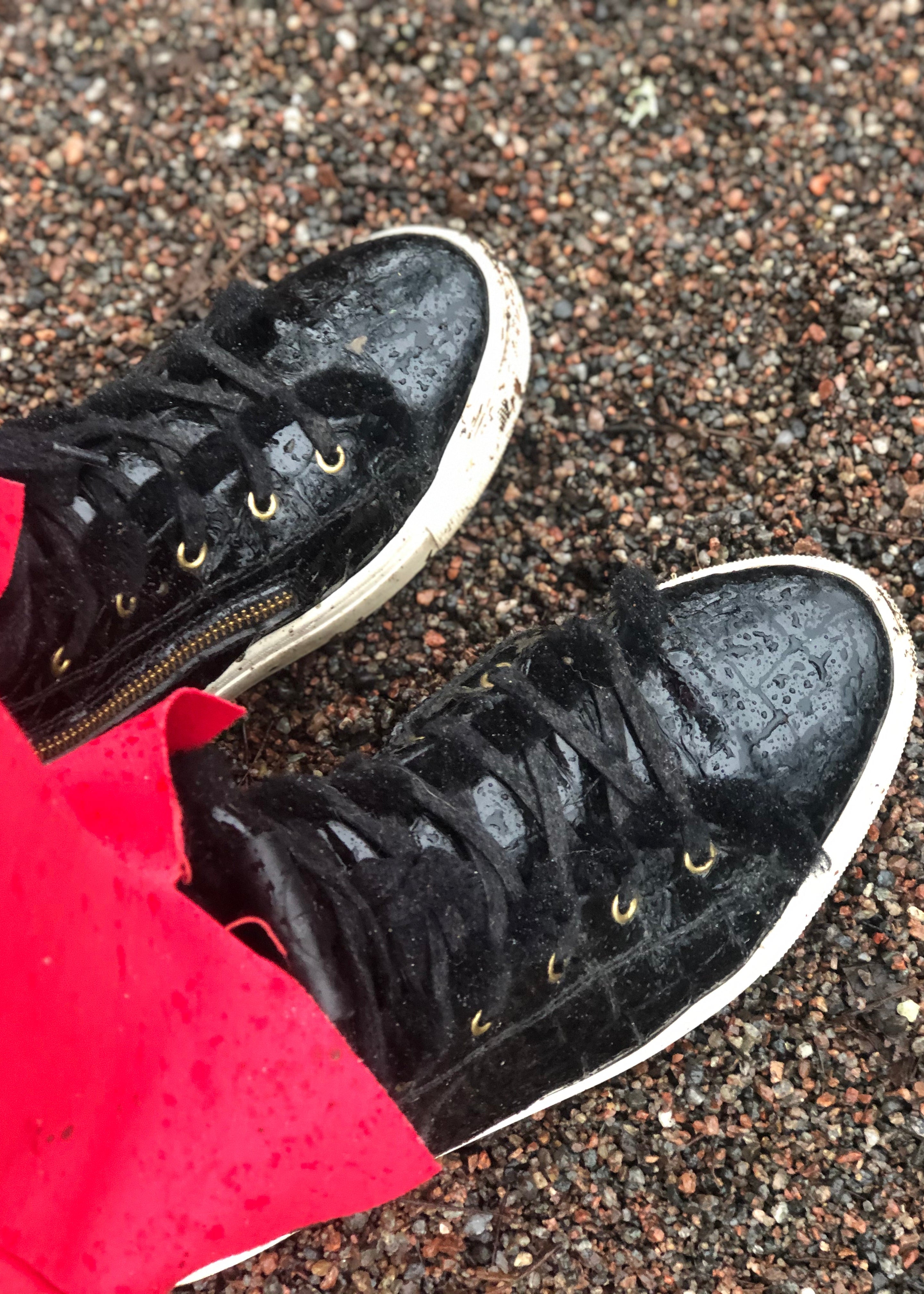 High Top Sneakers Fårskinnsfodrad Svart Crocolack