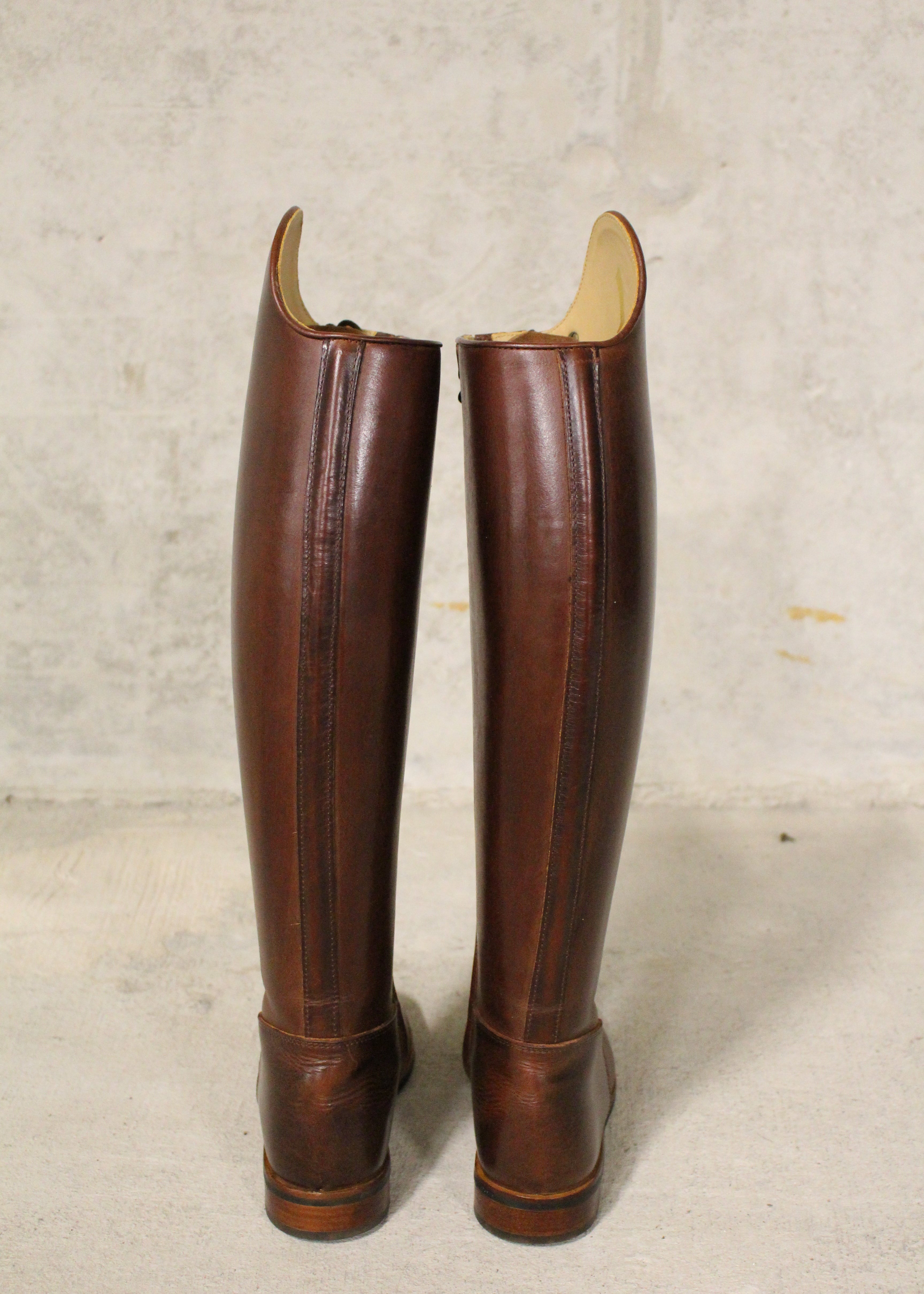 Paulista Seahorse Brown