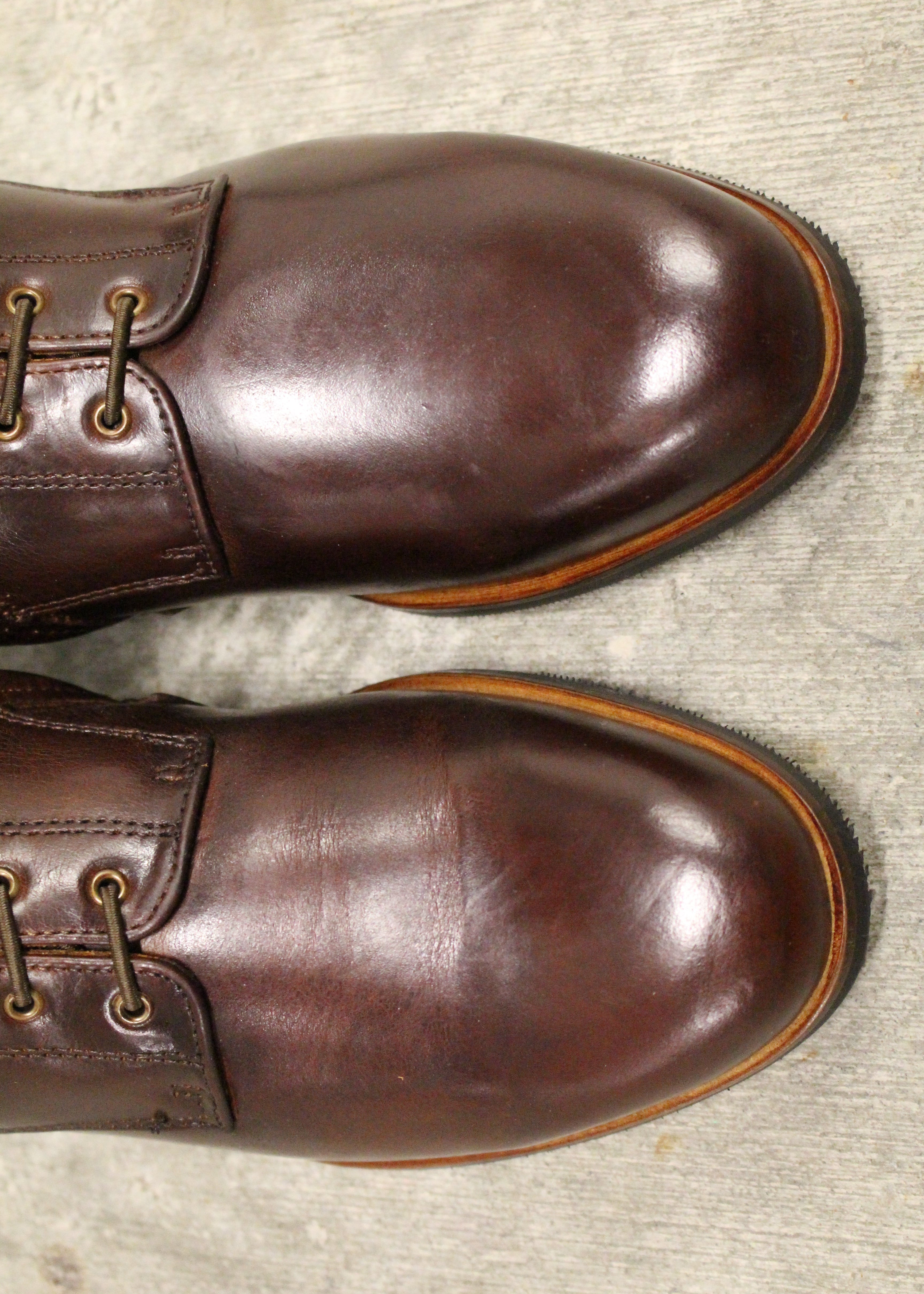 Paulista Seahorse Brown