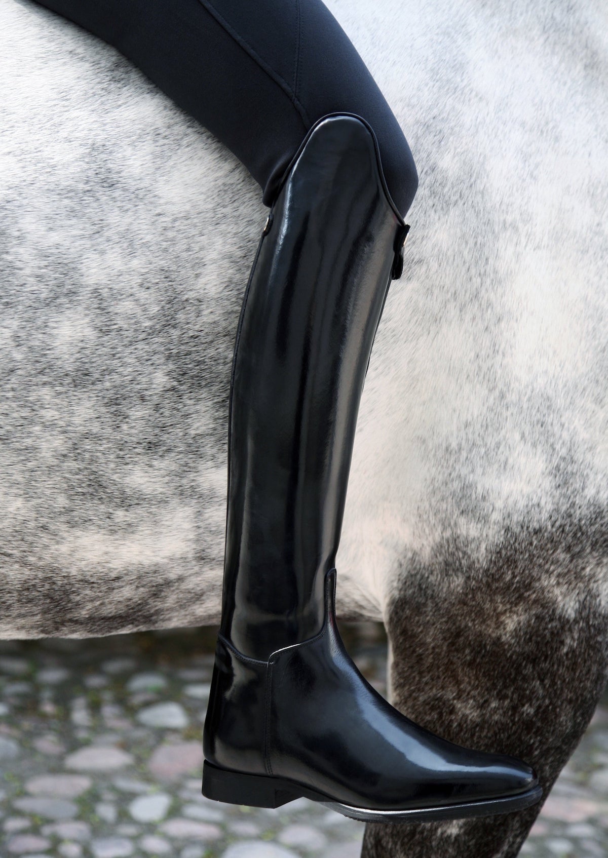 Dressage tall boots shop