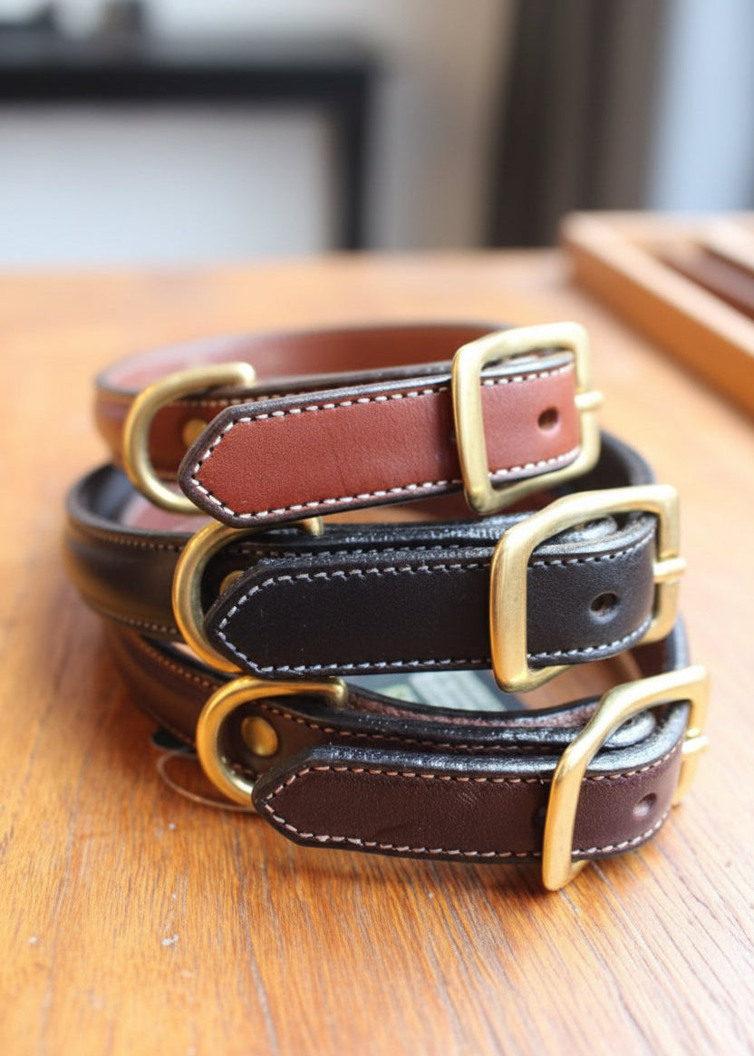 Dog Collar | Havanna