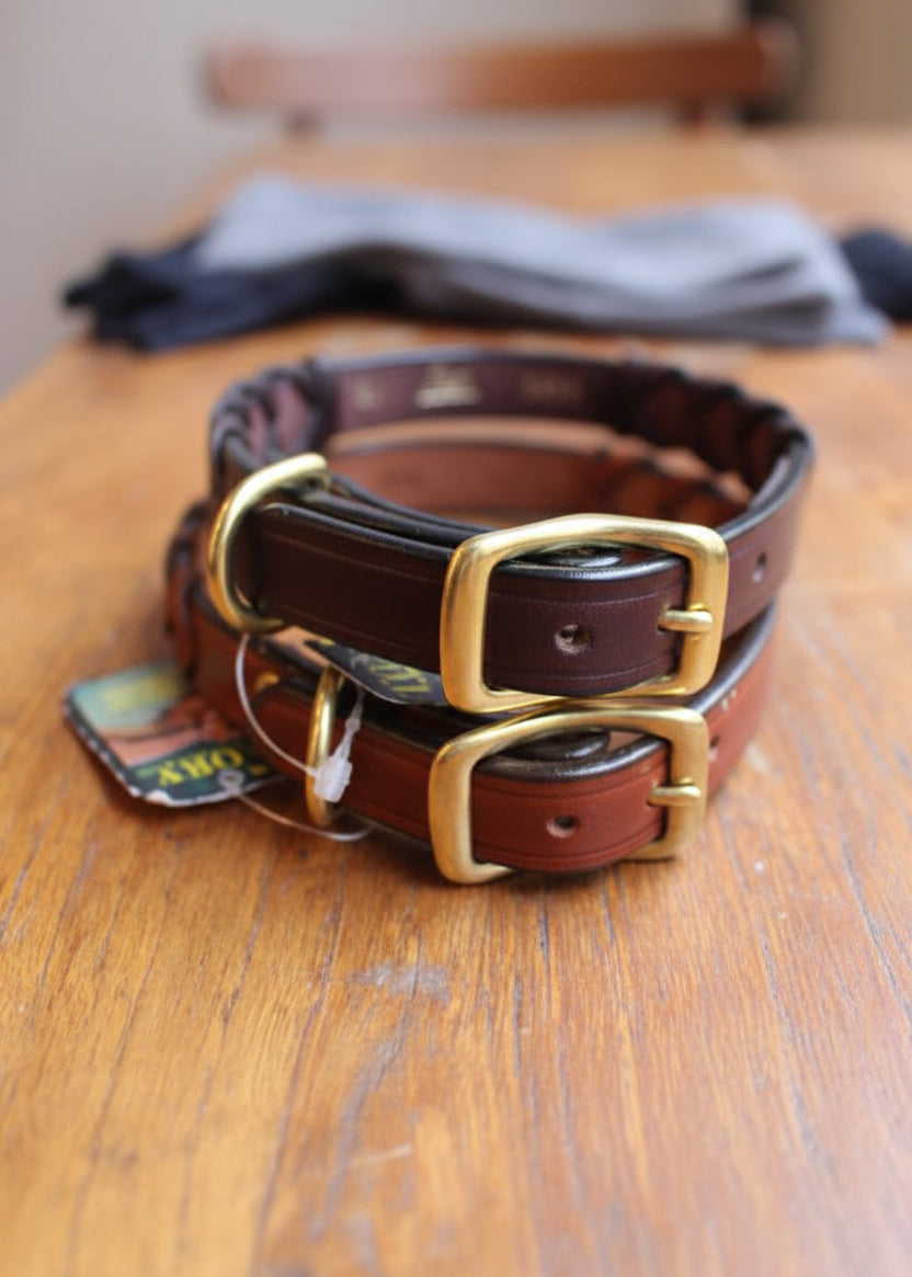 Laced Dog Collar | Havanna