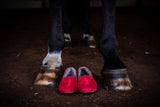 Augusta Sheepskin Red Suede