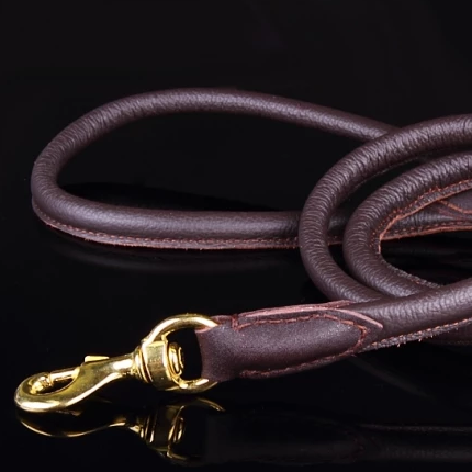 Padded Rolled Dog Leash Coffee Brown