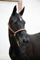 Triple Stitched Halter Black