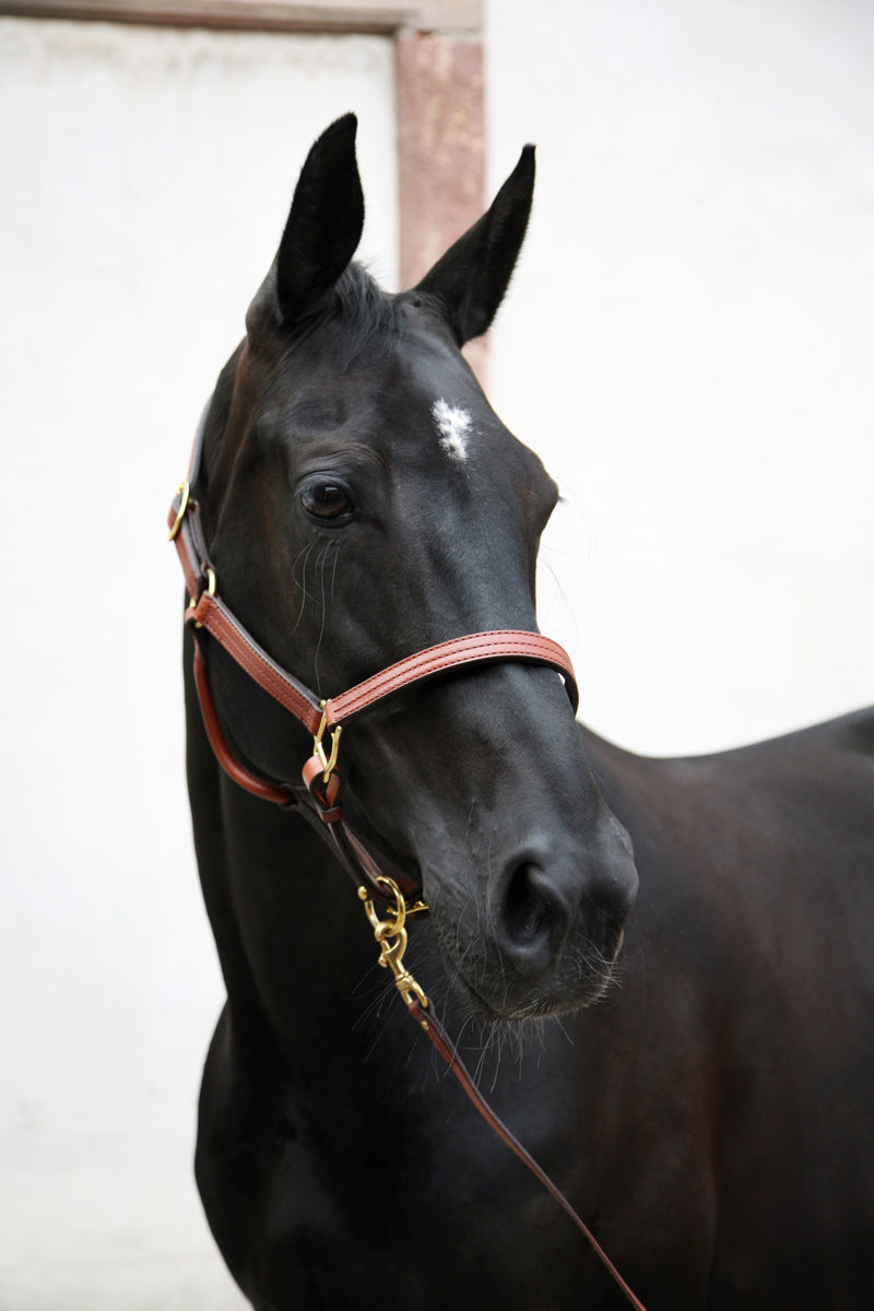Triple Stitched Halter Black