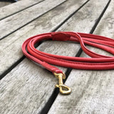 Padded Rolled Dog Leash Red