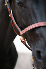 Triple Stitched Halter Oakbark