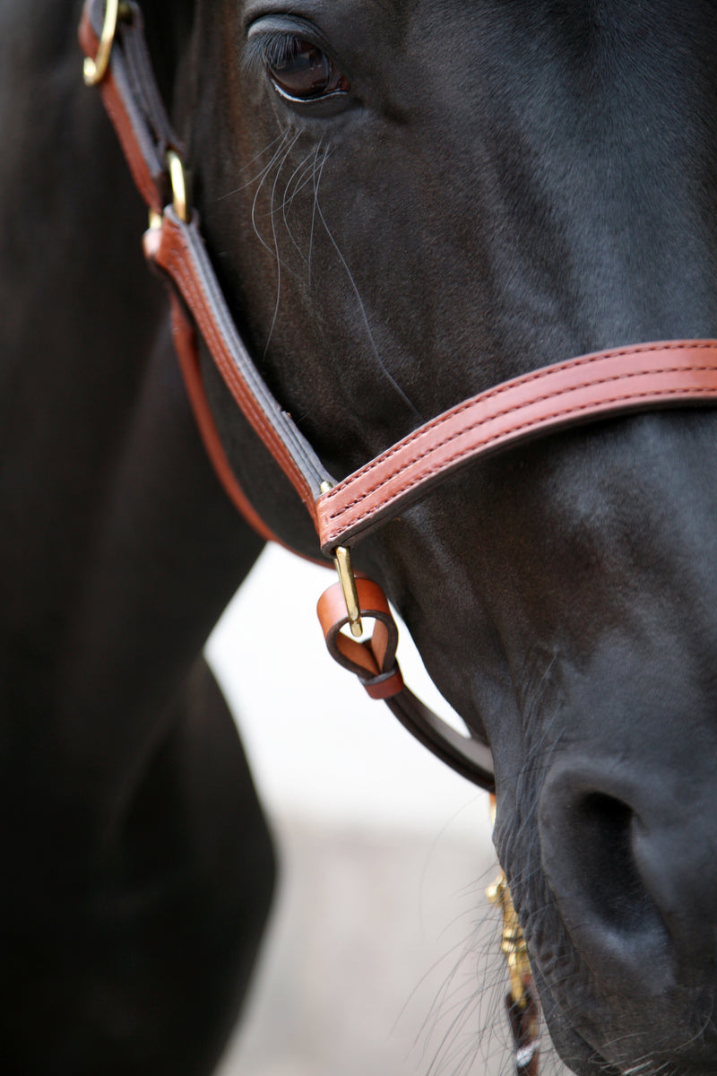 Triple Stitched Halter Oakbark
